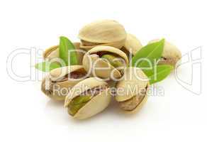 Dreid pistachio