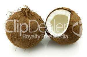 Coconut