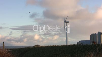 Wind turbine on the coast