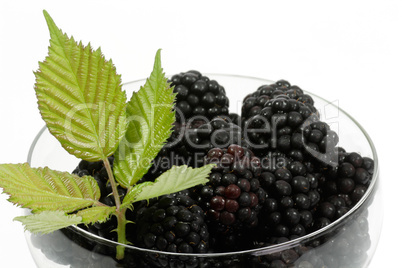 Brombeeren