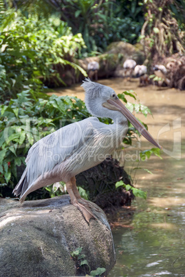 Birds Park in Kuala Lumpur