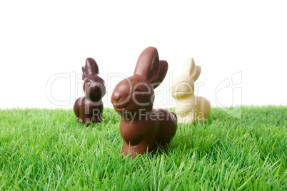 Chocolate Rabbits