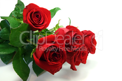 Red roses