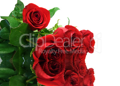 Red roses