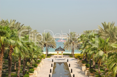 Palm trees at hotel recreation area, Dubai, UAE