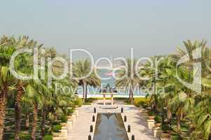 Palm trees at hotel recreation area, Dubai, UAE