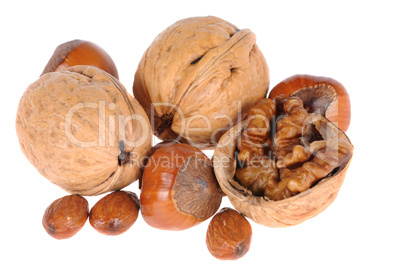 hazelnuts and walnuts hazelnuts and walnuts