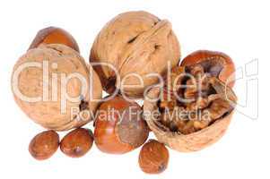 hazelnuts and walnuts