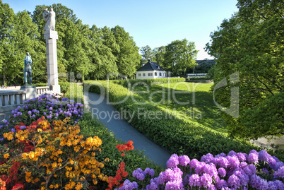 Flowers in a Oslo Meadow, Norway, May 2009