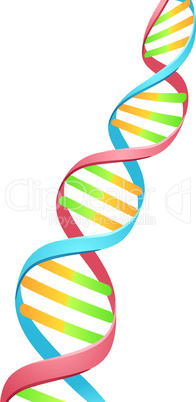 Double Helix Dna Strand