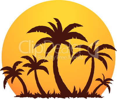Palm Trees And Summer Sunset