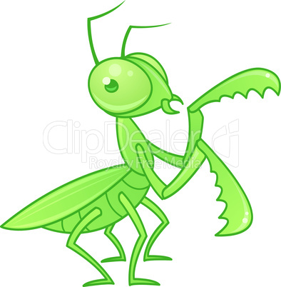 Praying Mantis Cartoon Character