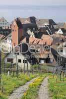 Feldweg und Obertor in Meersburg