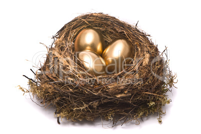 Gold eggs in a nest