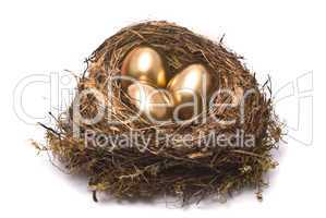 Gold eggs in a nest