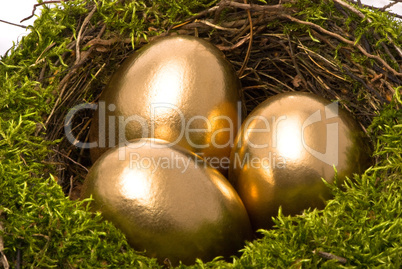 Golden eggs in a nest