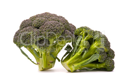 Fresh broccoli isolated over the white background