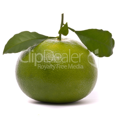 Fresh grapefruit isolated on a studio white background.