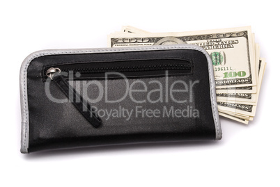 Money in purse on the white background