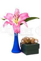 Pink lily and gift box on a white background