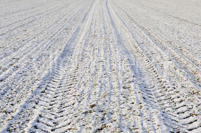 Acker im Winter Acker im Winter