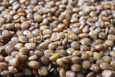 Braune Linsen - Brown Lentils