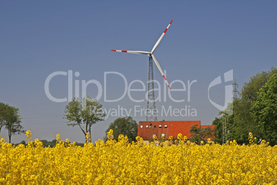 Rapsfeld mit Windkraftanlage bei Bad Iburg im Osnabrücker Land