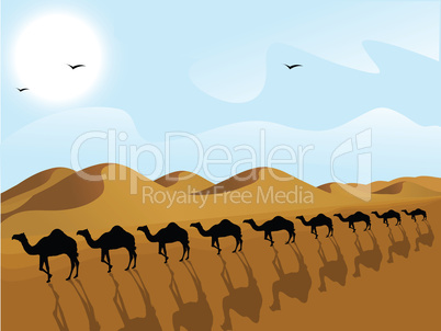 silhouette view of row of camels in a desert