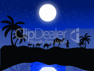 silhouette view of camels and human in moonlight