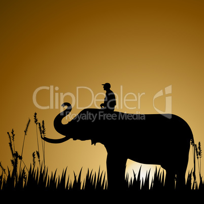 silhouette of an elephant with human, wildlife