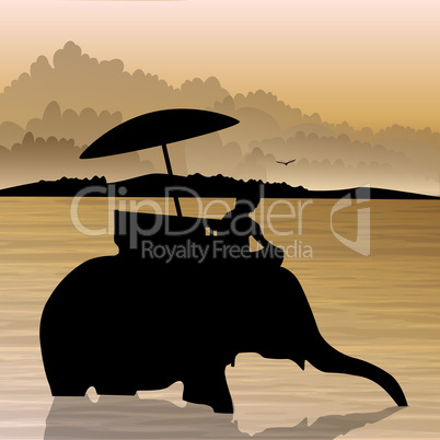 silhouette view of human on elephant in water