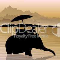 silhouette view of human on elephant in water