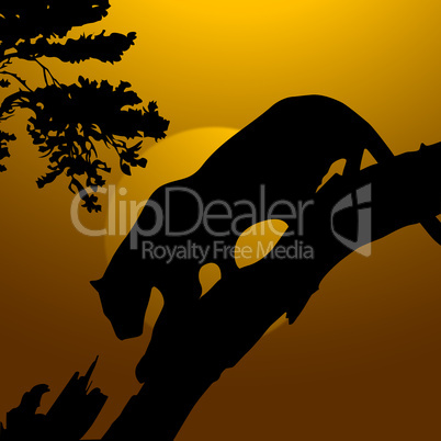 silhouette view of tiger on a tree, wildlife
