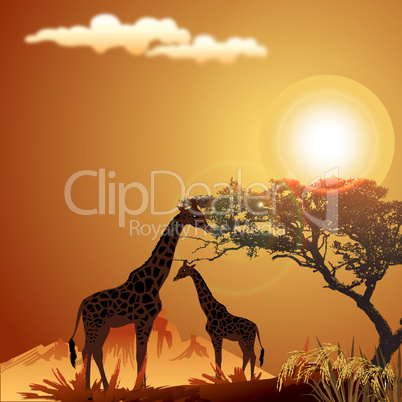 silhouette of giraffe, with jungle landscape and sun