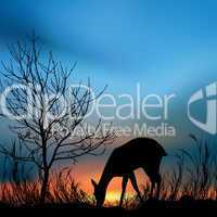 silhouette view of a deer eating grass