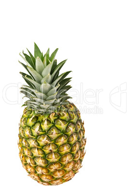 Pineapple on White Background