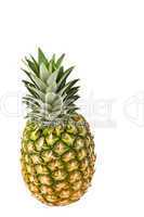 Pineapple on White Background