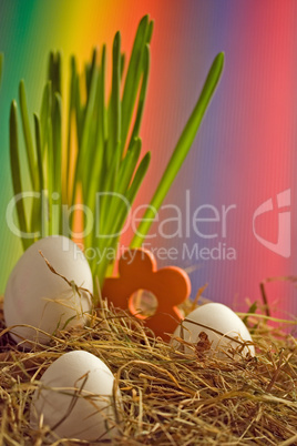 buntes Nest zu Ostern