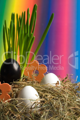 buntes Nest zu Ostern