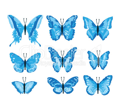 Schmetterling (blue edition)