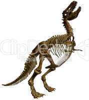 Dinosaurier Skelett