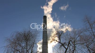 HD Coal burning power station with trees on foreground