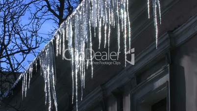 HD Sparkling spring icicles in the morning, closeup