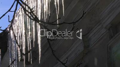 HD Panorama of sparkling icicles in the morning, closeup