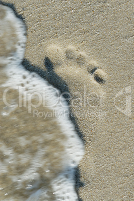 Footprint