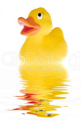 The duck