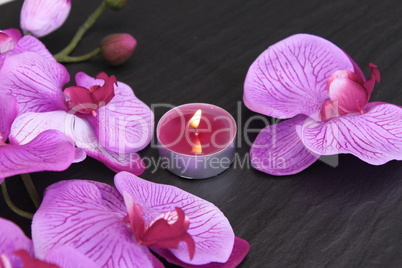 Orchideenblüten mit Teelicht