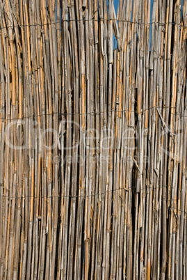 Bamboo wood background