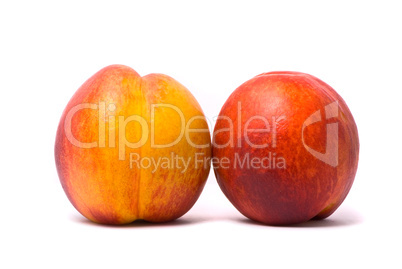 Two juicy nectarines on a white background