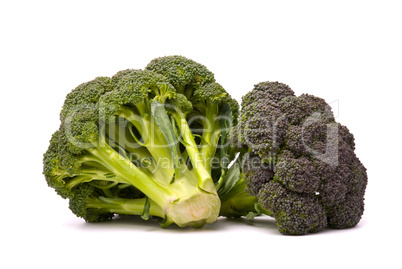 Fresh broccoli isolated over the white background